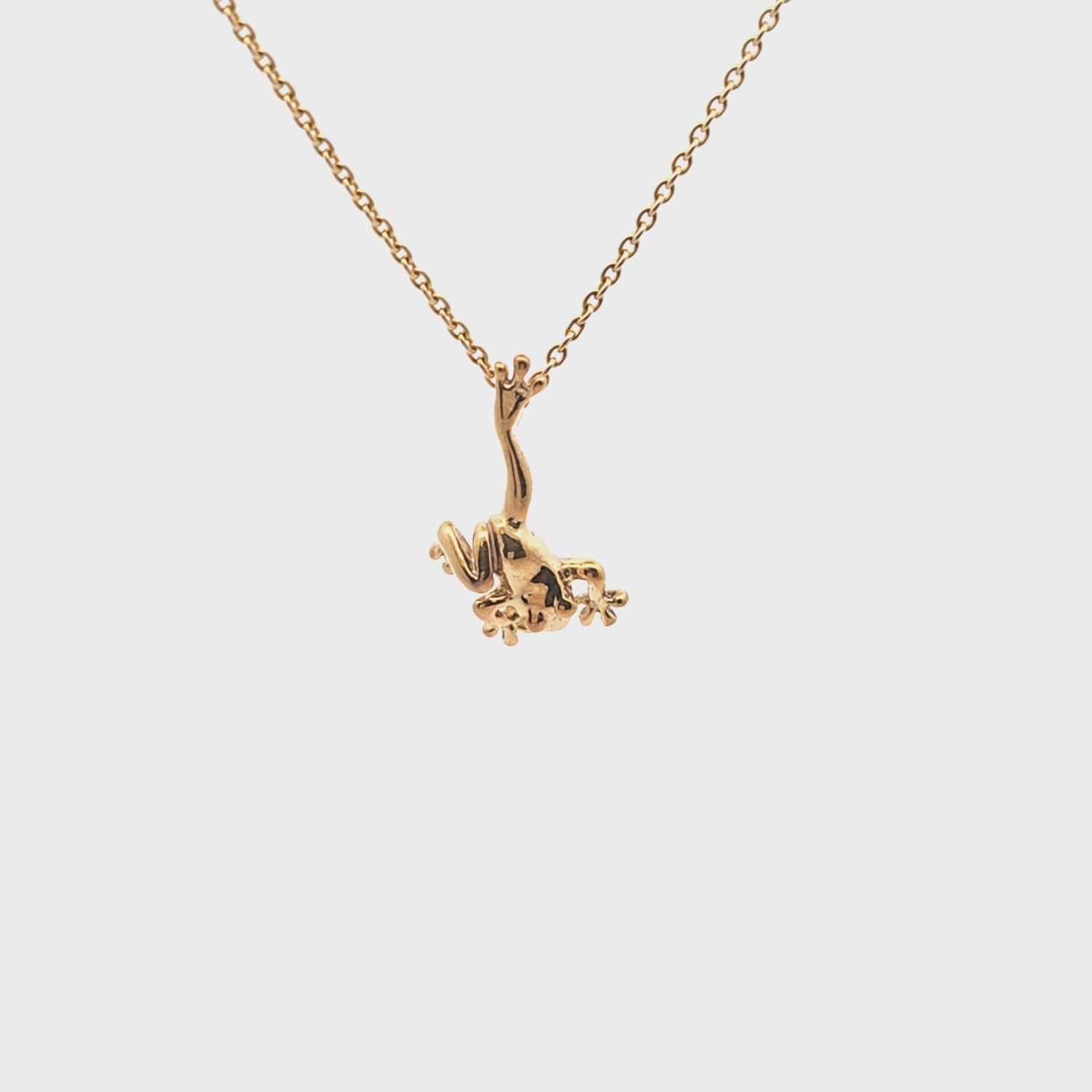 Leaping Frog Necklace