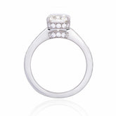 Daniella Engagement Ring in white gold with central diamond and side stones sparkling elegantly