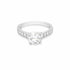 Naomi Engagement Ring in white gold with round F VS1 diamond and diamond-accented shank