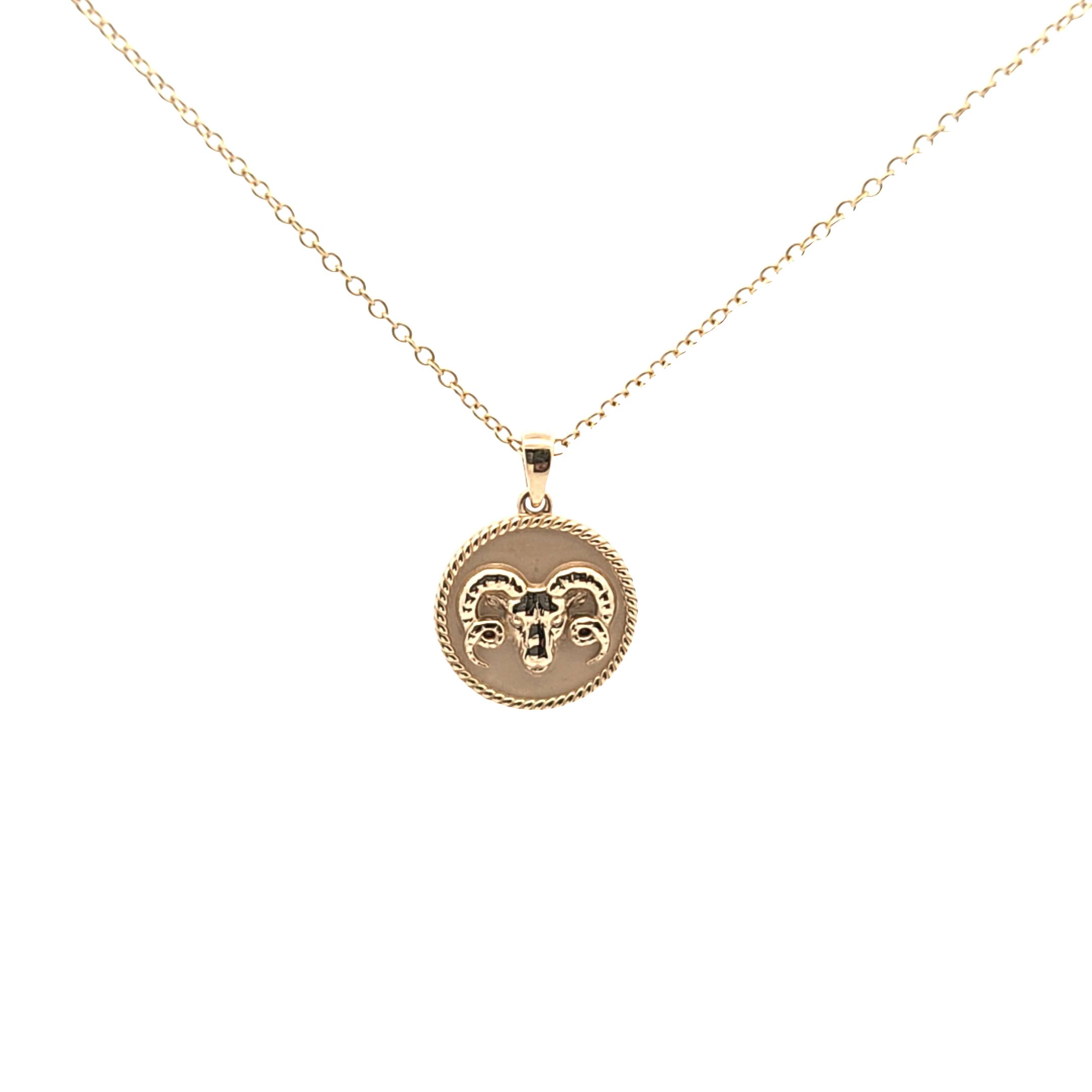 Zodiac Mini Medallion with a chain