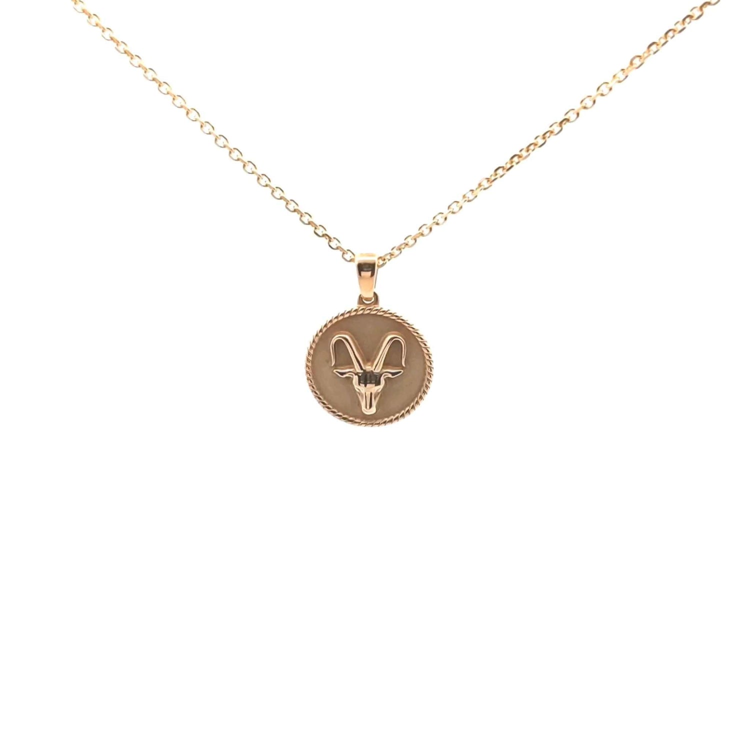 18K solid yellow gold Zodiac Charm necklace with polished rope border and sandblasted background featuring astrological symbol pendant